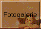 Fotogalerie