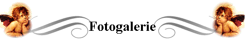 Fotogalerie